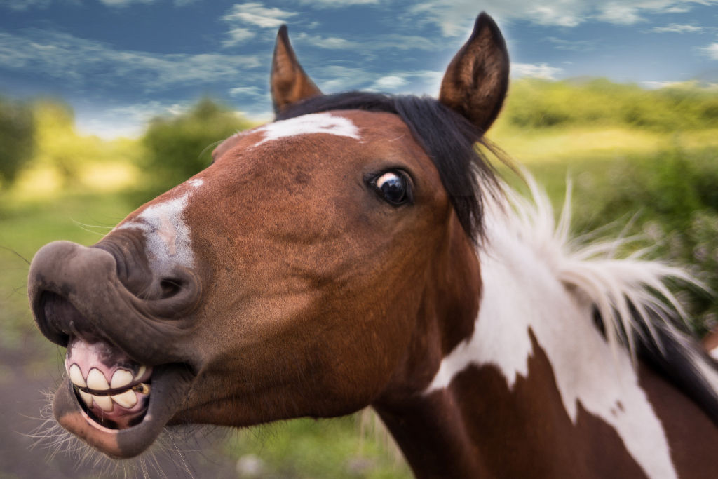 You Know You’re Manic or Depressed If: Humor – A Funny List