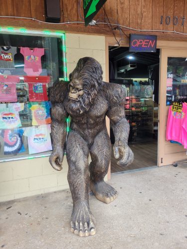 Cherokee North Carolina Bigfoot Local shops Amy Dodd Pilkington